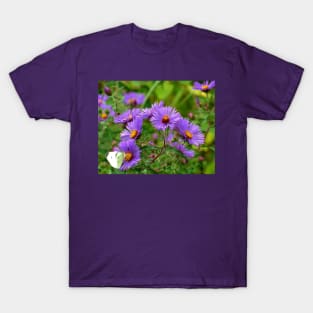 Linger - Purple Asters T-Shirt